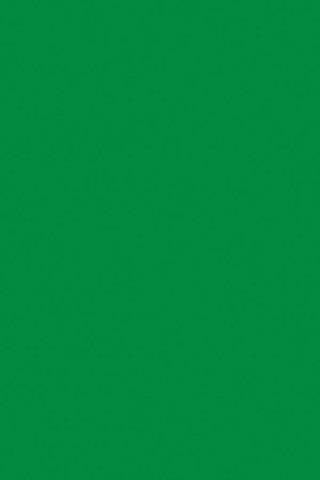 SPECTRA ART TISSUE 20" X 30" APPLE GREEN 24 SHEETS