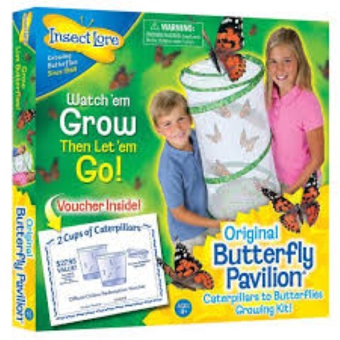Insect Lore Butterfly Pavilion®, 24" tall