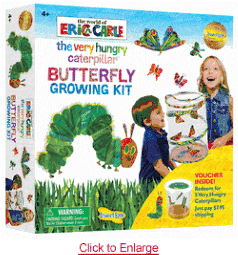 Insect Lore Butterfly Farm