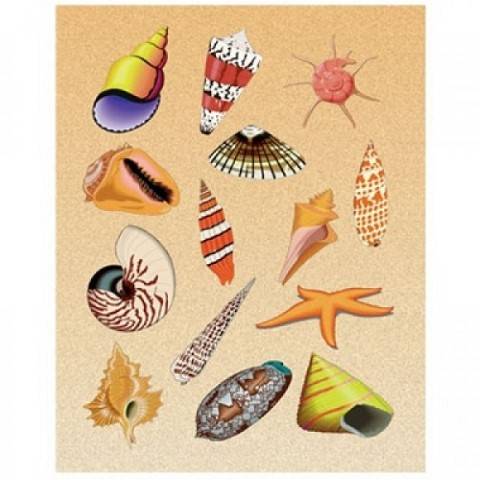 Hygloss Sea Shells Stickers 25 Sheets (1828-1)