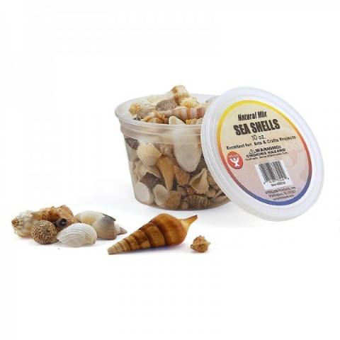 HYGLOSS CRAFT SEA SHELLS 1 LB BUCKET