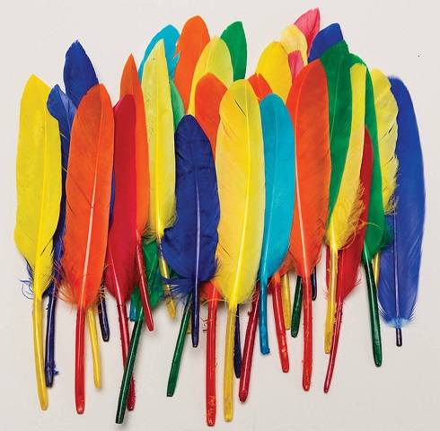 CREATIVITY STREET, DUCK QUILLS, 14 GRAMS ASSORTED COLORS