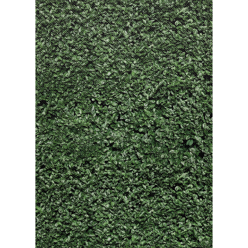 Better Than Paper&reg; Bulletin Board Roll, 4' x 12', Boxwood Design, 4 Rolls