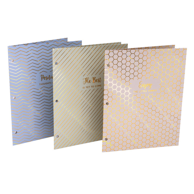 Haze 2-Pocket Portfolio, Letter Size, Assorted Colors, Pack of 6