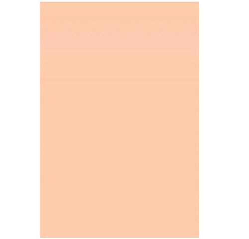 Color Card Stock, Tag, Peach, 67 lb, 8.5 x 11 Inches, 250 Sheets