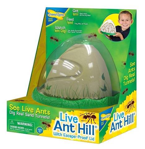 Ant  Hill Habitat