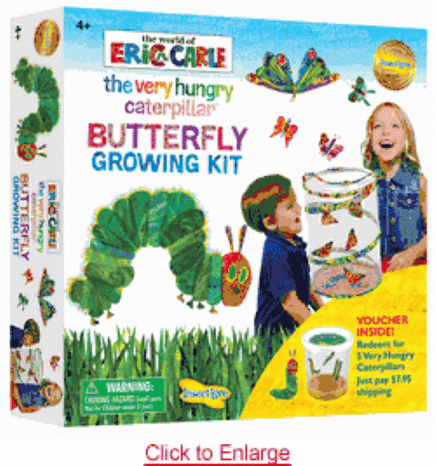 The Very Hungry Caterpillar Butterfly Growing Kit LIVE Kids Quarantine Fun Learn