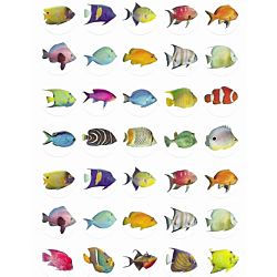 Fish Stickers 1