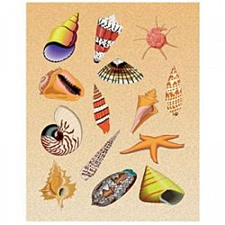 Hygloss Sea Shells Stickers 25 Sheets (1828-1)