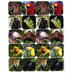 Eureka Rainforest Creatures Theme Stickers (655018)