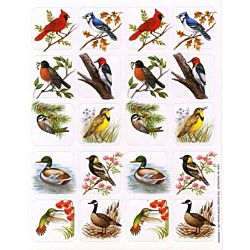 Eureka Birds Theme Stickers (65533)