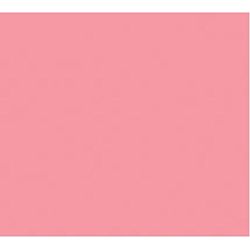Foamies® Foam Sheet - Pink - 2mm thick - 12 x 18 inches, 10 pack