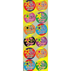 300 Self-Adhesive Jumbo Judaic Stickers Classpack  Rebbe Proud