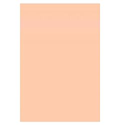 Color Card Stock, Tag, Peach, 67 lb, 8.5 x 11 Inches, 250 Sheets 
