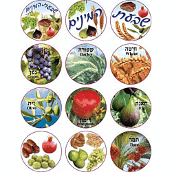Jewish Seven Species Stickers (Shivas Haminim)