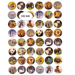 Animals Stickers 3/4