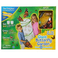 Insect Lore Giant Butterfly Garden Caterpillar to Butterfly Growing Kit