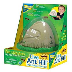 Ant  Hill Habitat