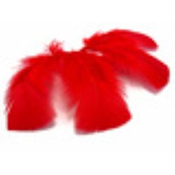 All Purpose Craft Feathers - Red - 14 grams