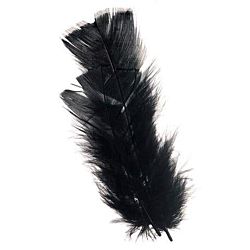 All Purpose Craft Feathers - Black - 14 grams