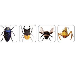 Eureka Photo Insect Theme Stickers (655044)