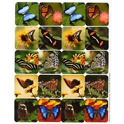 Eureka Butterflies Theme Stickers (65526)