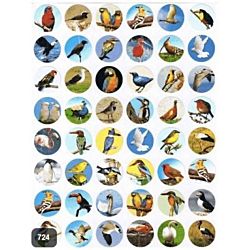 Birds Stickers 3/4