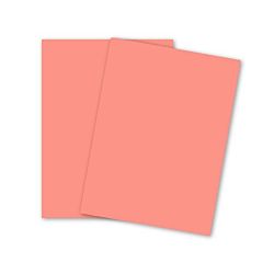 Color Card Stock, Tag,  Salmon, 90 lb, 8.5 x 11 Inches, 250 Sheets 