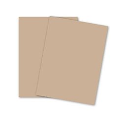 Color Card Stock, Tag, Tan, 67 lb, 8.5 x 11 Inches, 250 Sheets 
