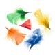 All Purpose Craft Feathers - Assorted Bright Colors - 14 grams