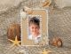 Natural Sea Shell Picture Frames 12 Project Pack