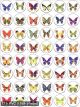 Butterflies With Glitter Stickers 3/4