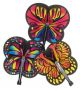 Butterfly Folding Fans , 12/Pkg.