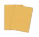 Color Card Stock Gold, 67 lb, 8.5 x 11 Inches, 250 Sheets 