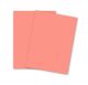 Color Card Stock, Tag,  Salmon, 90 lb, 8.5 x 11 Inches, 250 Sheets 