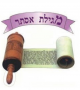 Judaica pre cut cardstock  Megilla