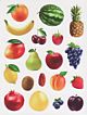 Large Fruit Stickers 1.75